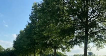 Baldwin City's Tallgrass lodge