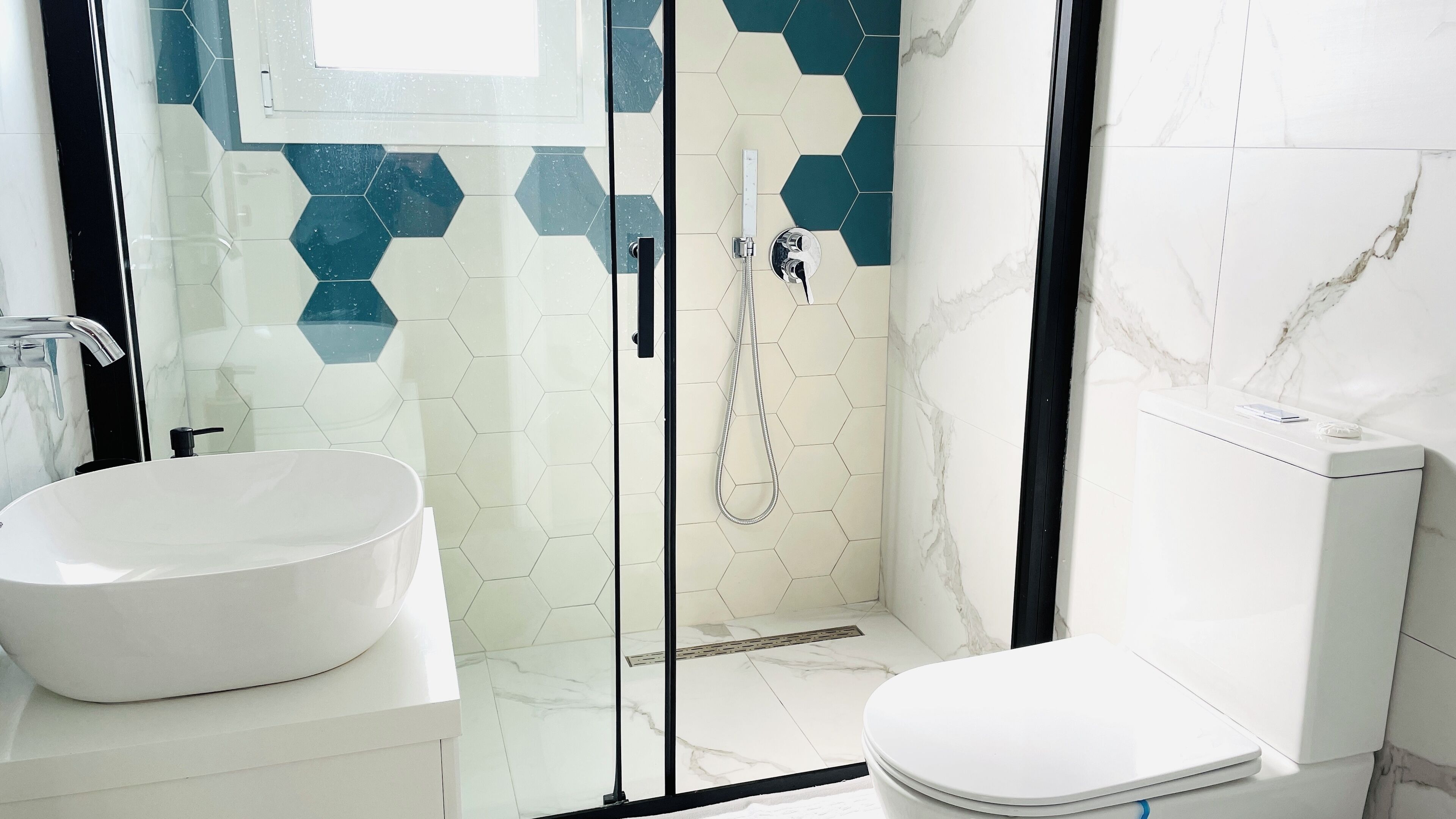 Shower, hair dryer, bidet, towels