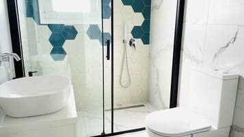 Shower, hair dryer, bidet, towels