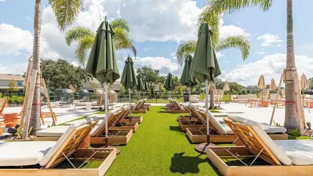 Un espace piscine doté de chaises longues et de parasols, entouré de palmiers.