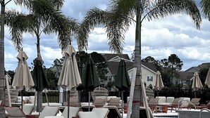 Un espace aménagé au bord de la piscine, avec des chaises longues et des parasols, entouré de palmiers et surplombé d’un ciel dégagé.