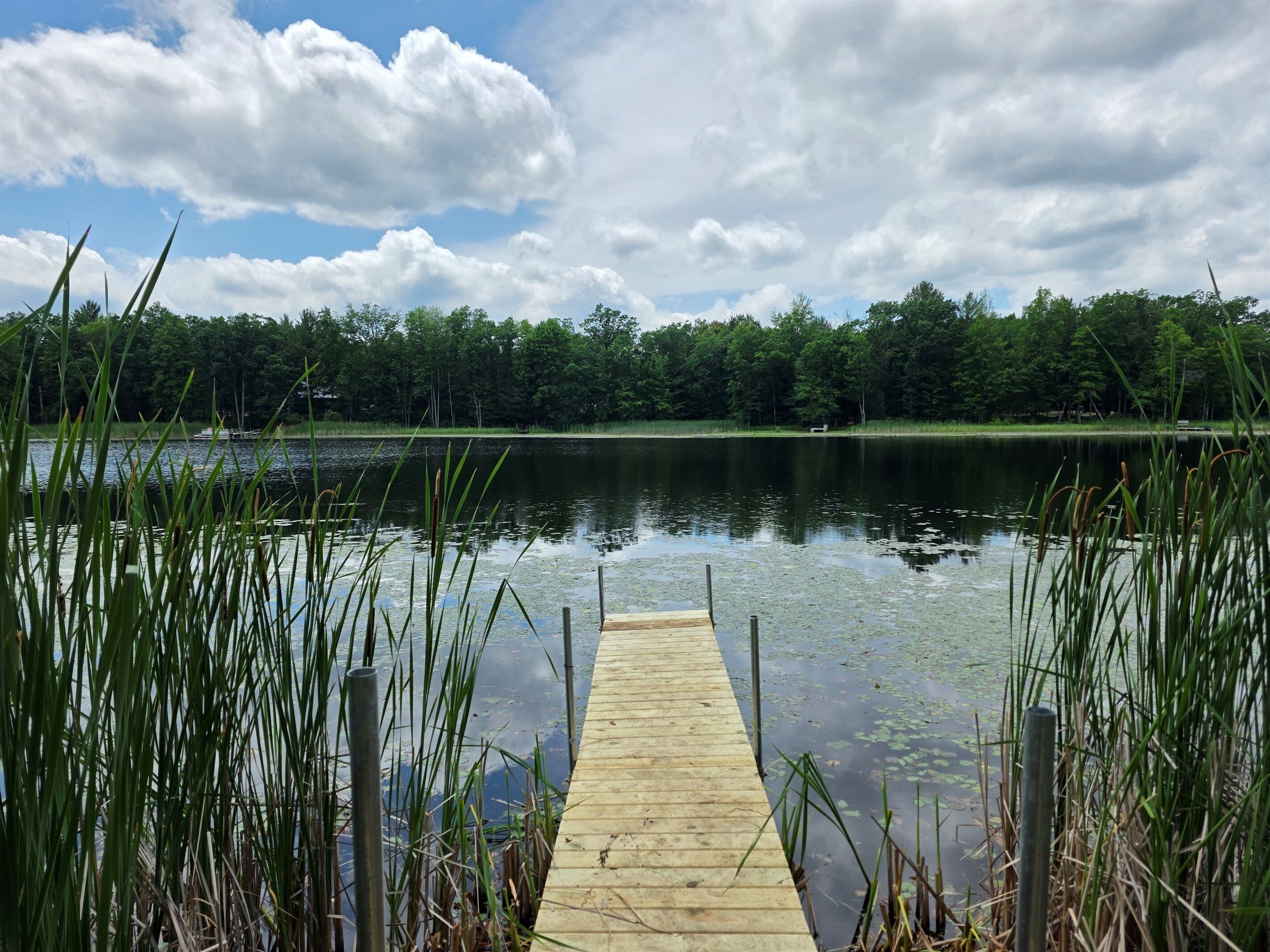Un muelle de madera se extiende sobre un lago tranquilo, rodeado de pastos altos y árboles.