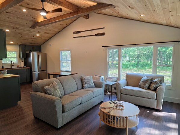 Smart TV, fireplace, DVD player, video library