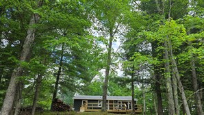 A cabin in a forest with a deck and a view of the surrounding trees. - Foreman Lakefront Cabin Hot Tub Wi-Fi Dog Friendly (Idlewild)