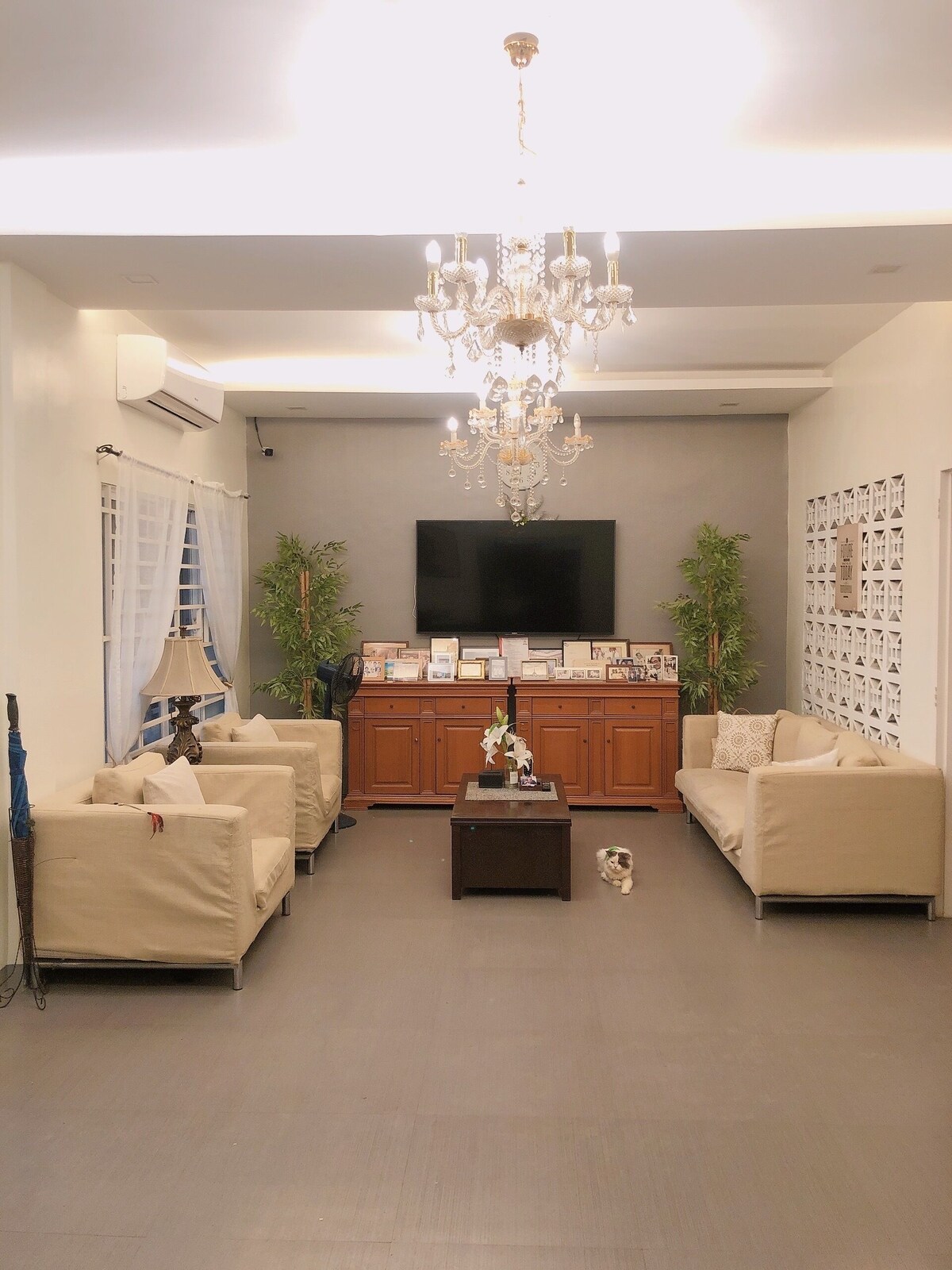 Værtens profilbillede