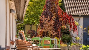 A patio area with outdoor furniture, a large leafy plant, and a building with a tiled roof.
