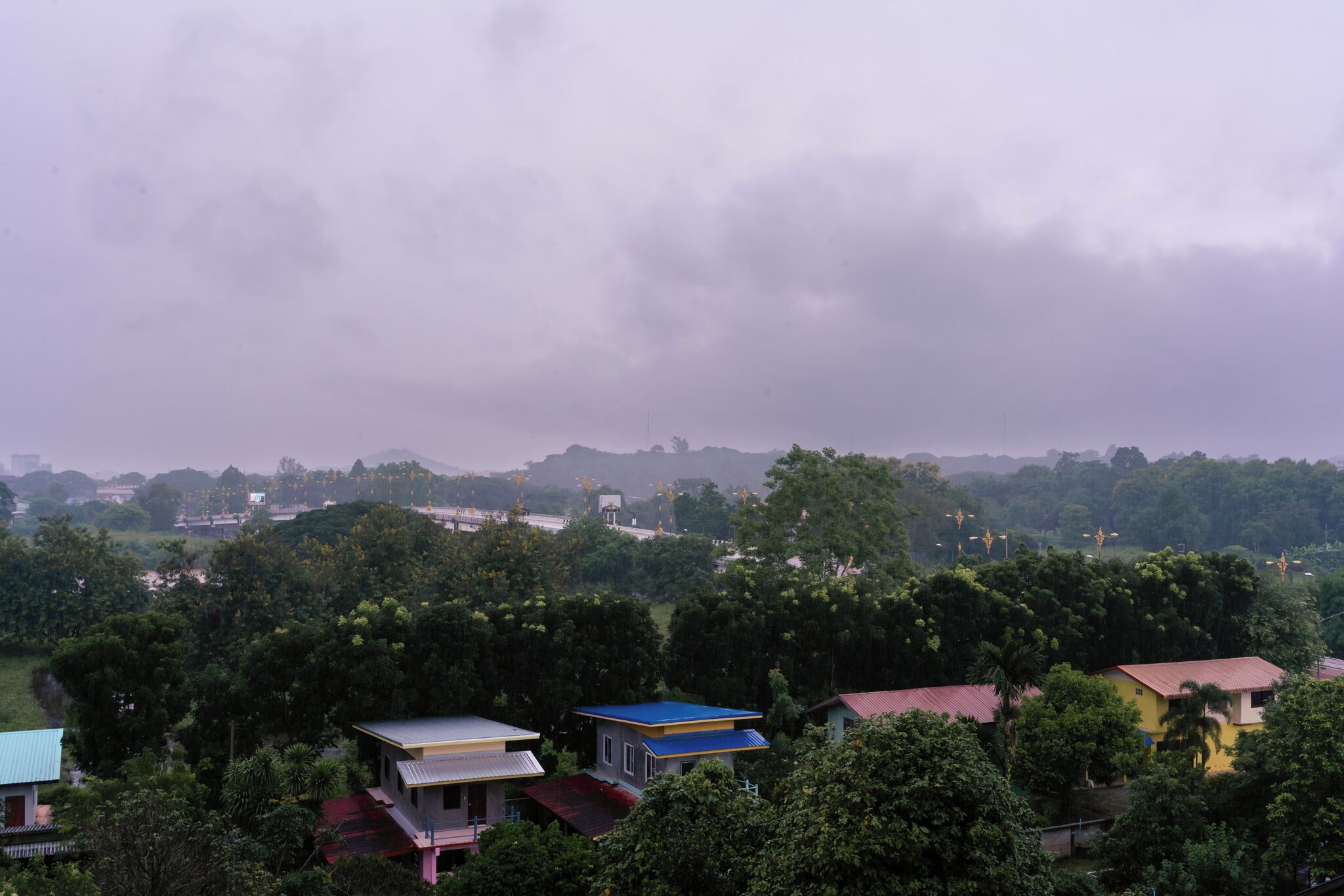 A residential area with houses surrounded by dense greenery.