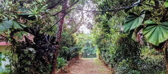 Budget Kerala Countryside Heritage Villa near Waterfall