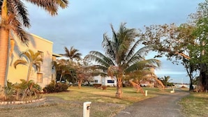 A pathway lined with palm trees and a building with a yellow facade.