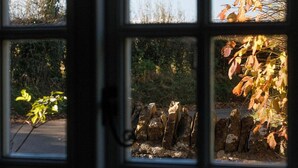 Une vue à travers une fenêtre, avec un mur de pierre et de la végétation à l’extérieur.
