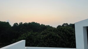 Een terras op het dak met uitzicht op weelderige begroeiing en een heldere lucht.