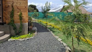 Un chemin de jardin qui mène à un bâtiment doté d’une façade en bois et d’un petit arbre.