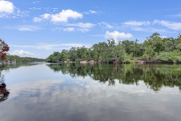 A calm river with dense trees on both sides.
