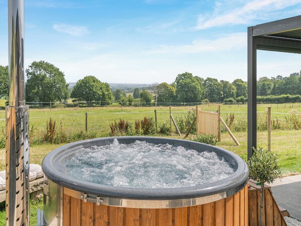 Immagine non classificata, 1 di 22, pulsante