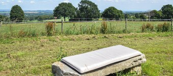 Sky Lark Lodge - UK49904