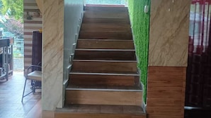 Un escalier avec des marches en bois menant à un mur végétal.