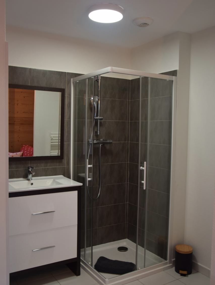 Un baño moderno con ducha envuelta en vidrio, un lavabo blanco y un espejo encima.