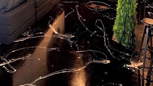 Una sala de estar moderna con piso negro, un jardín vertical verde y un sofá oscuro con cojines.