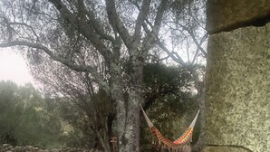 A stone wall, a hammock, and a tree in a natural setting. - Guest room 21m2 (Figari)
