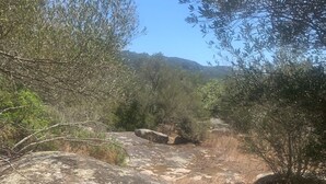 A rocky path surrounded by trees and shrubs, leading towards a hilly landscape. - Guest room 21m2 (Figari)