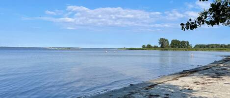 單棟房屋 | 外觀