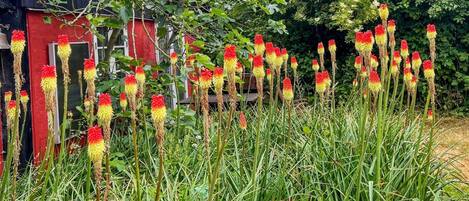 Terrain de lâhĂ©bergement