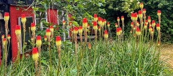 "Virpi" - 8km from the sea by Interhome