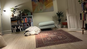 A living room with a wooden floor, a sofa, a rug, a bookshelf, a painting, and a ceiling fan. - Best location at Vesterbro and close to subway (Copenhagen v)