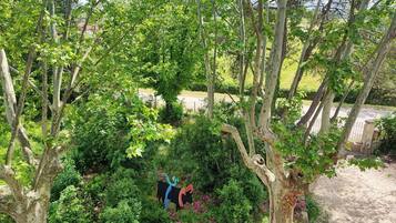 A lush garden with dense foliage and a decorative metal sculpture.