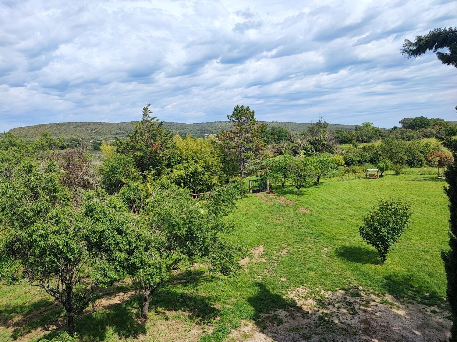 A rural landscape with a grassy field, trees, and a distant hill.