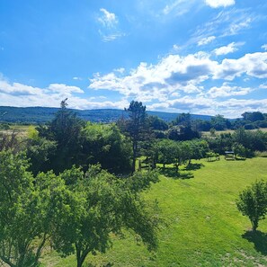 Vista desde la habitación