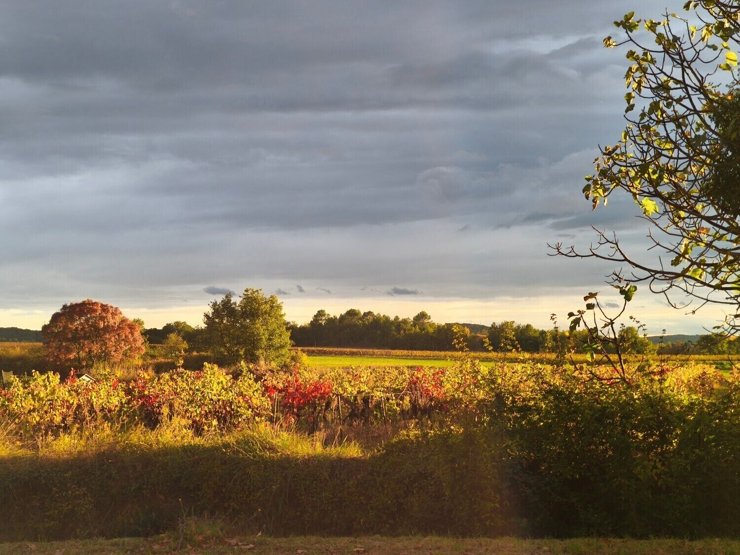 A rural landscape with fields, trees, and a cloudy sky.