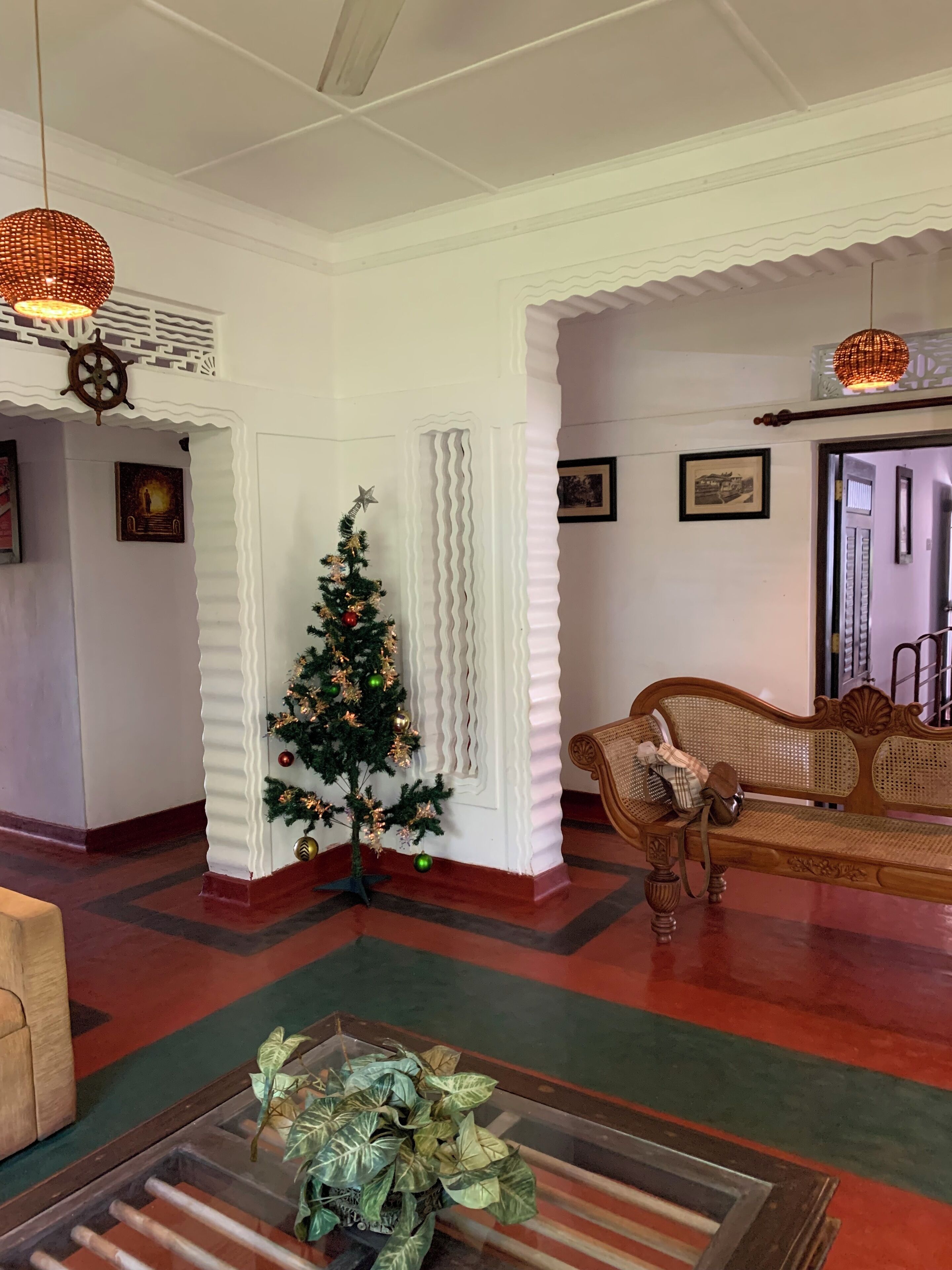 Un salon décoré d’un sapin de Noël, avec un canapé en osier et une table basse sur laquelle est posée une plante.