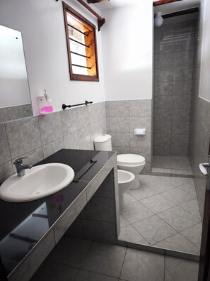 A modern bathroom with a black countertop sink, a mirror, a window with wooden frames, and a shower area.