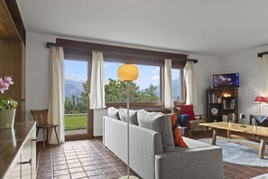 Smart-TV, Arbeitsbereiche