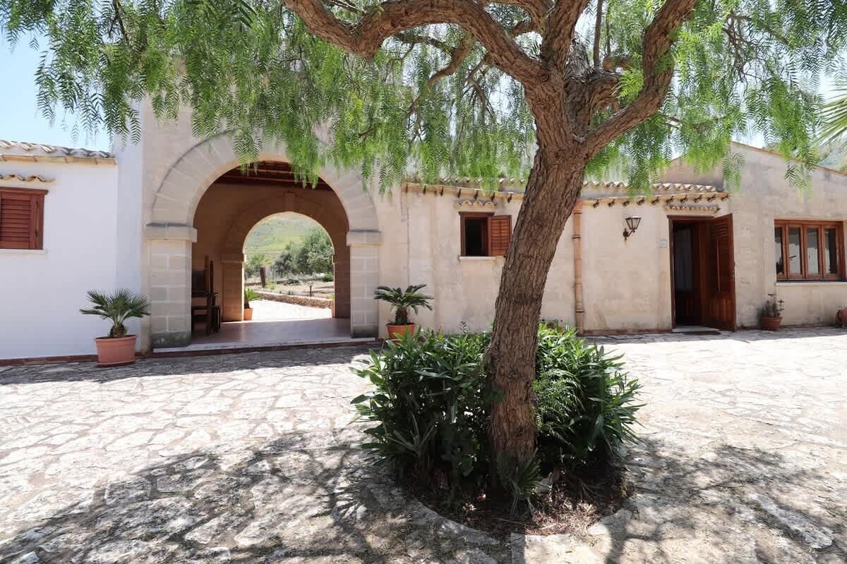 Une cour intérieure agrémentée d’un arbre, de plantes en pot et d’un chemin de pierre menant à une arche.