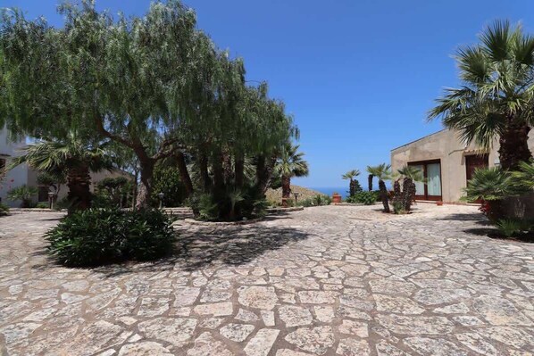 A courtyard with stone paving, palm trees, and a building with large windows.