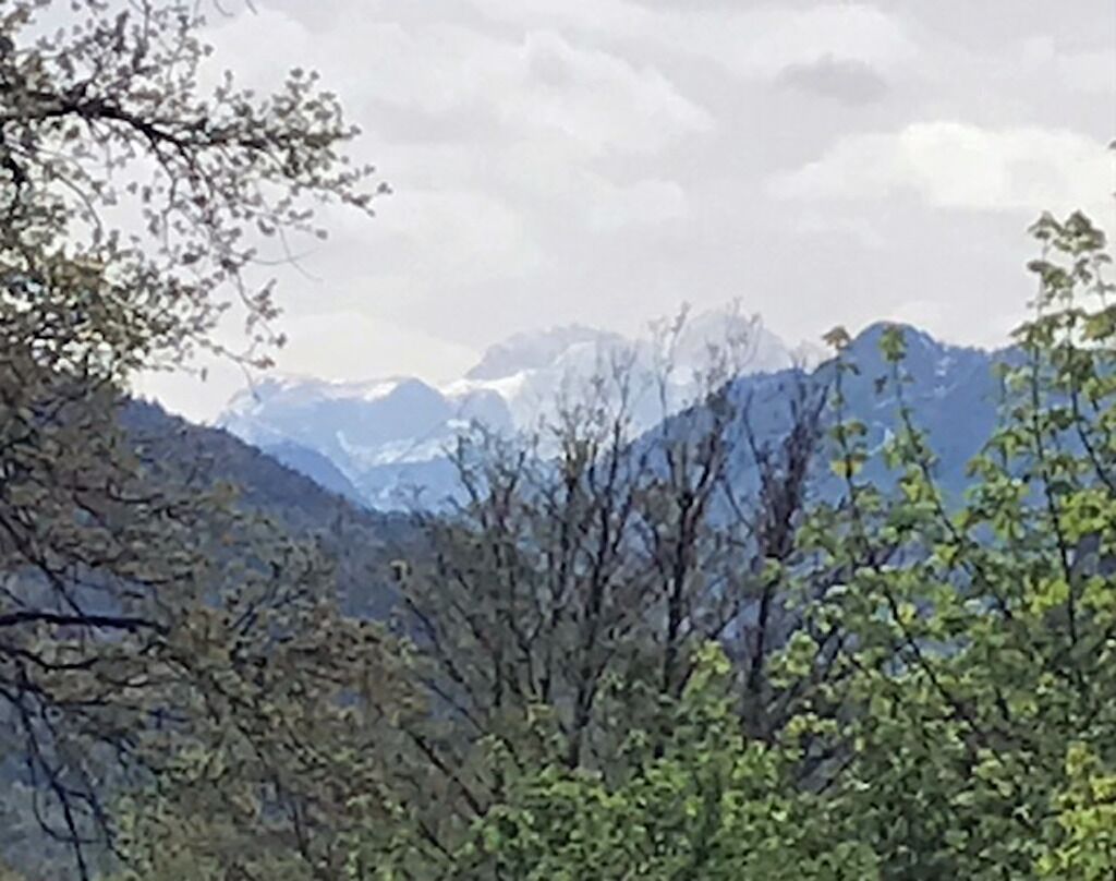 Paisaje montañoso con árboles en primer plano y cumbres nevadas al fondo.