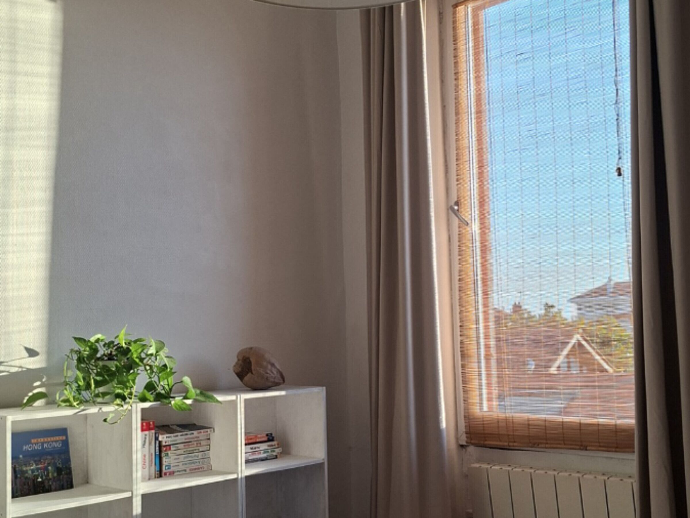 A room with a window, a bookshelf with books and a plant, and a radiator.