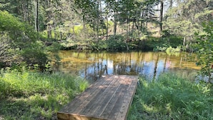 A wooden dock extending into a calm pond surrounded by dense forest.