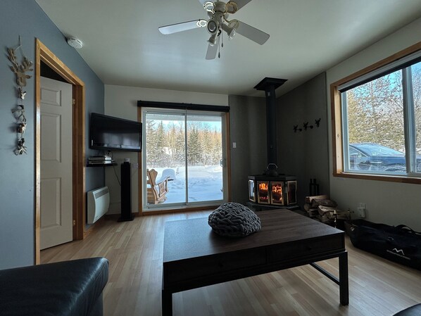 Télévision, cheminée, jeux vidéo, lecteur de DVD