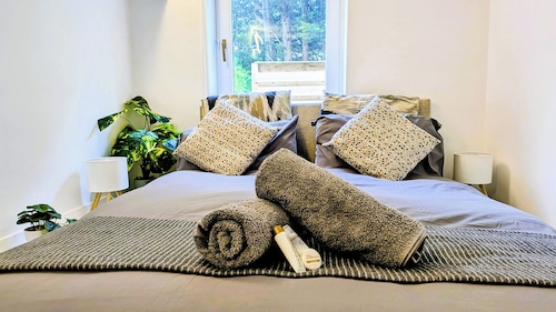 Central Edinburgh 3 bedroom house, Supporting Rainforest Conservation