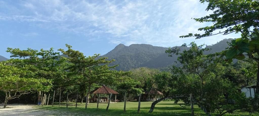 A serene outdoor area with a gazebo, trees, and a mountain in the background.