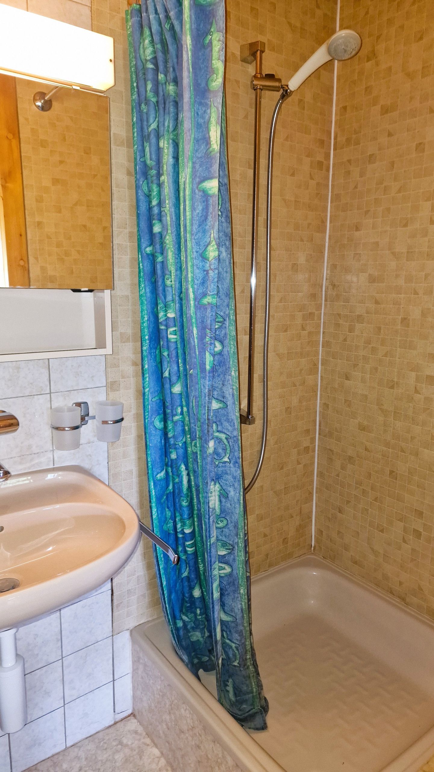 Une salle de bain avec une douche, un lavabo et un miroir.