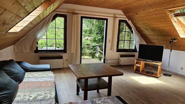 A cozy attic room with a wooden ceiling, a sofa, a TV on a wooden stand, and large windows offering a view of greenery outside. - Cozy vacation apartment in the middle of nature, with terrace and barbecue area (Hinzenhagen)