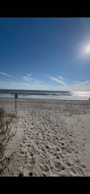 Tæt på stranden