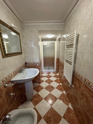 Shower, bidet, towels, soap