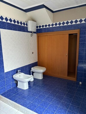 Shower, bidet, towels, soap