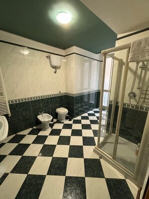 Shower, bidet, towels, soap