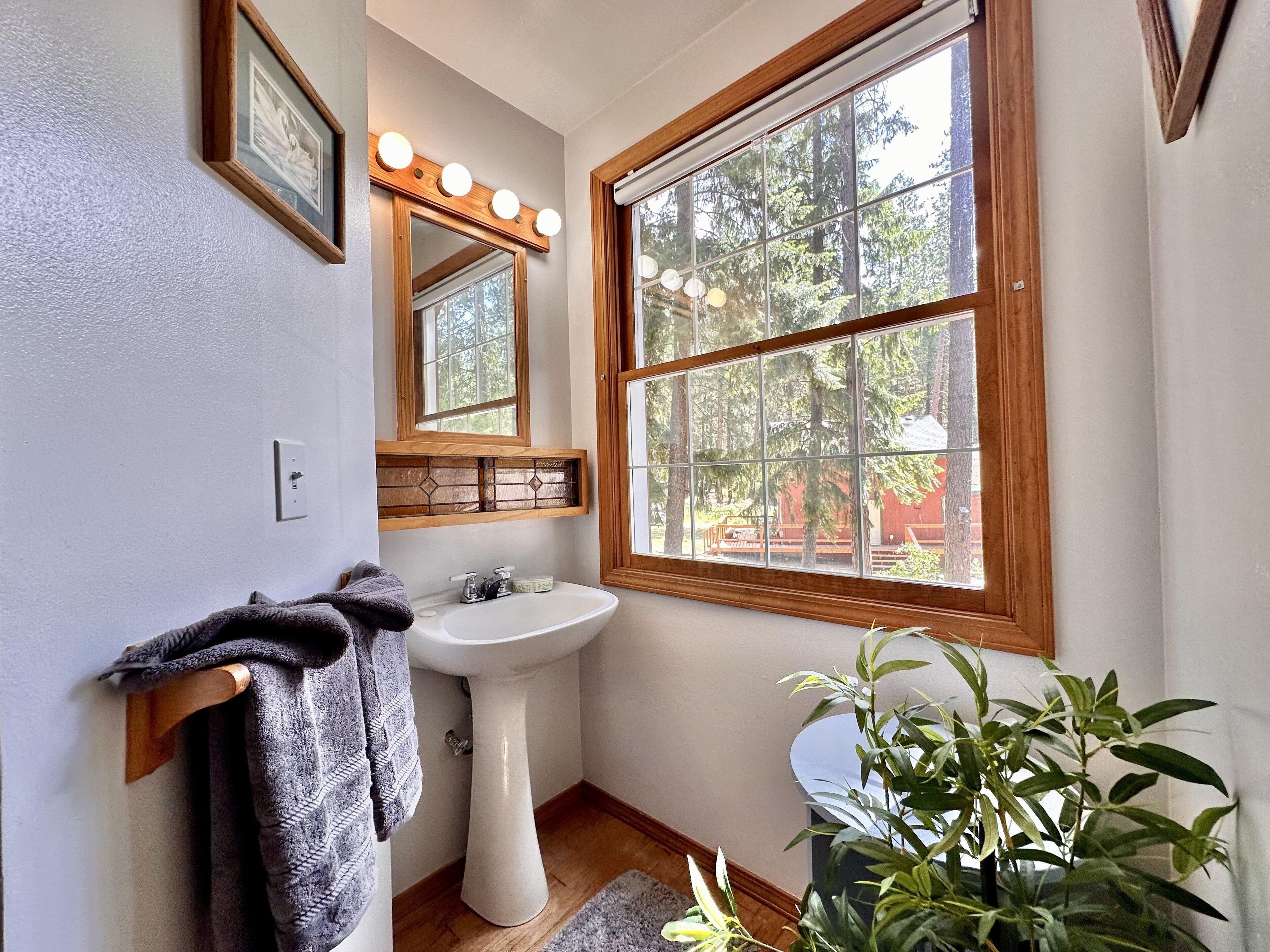 Ein Badezimmer mit einem weißen Waschbecken, einer Holzwaschkabine, einem Spiegel mit Beleuchtung, einem großen Fenster mit Blick auf Bäume und einer Topfpflanze.